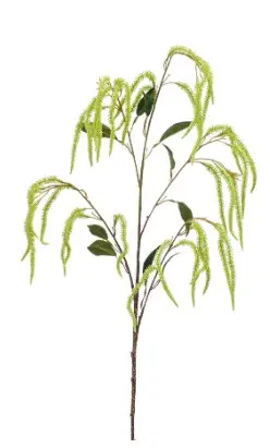 Amaranthus green Artificial