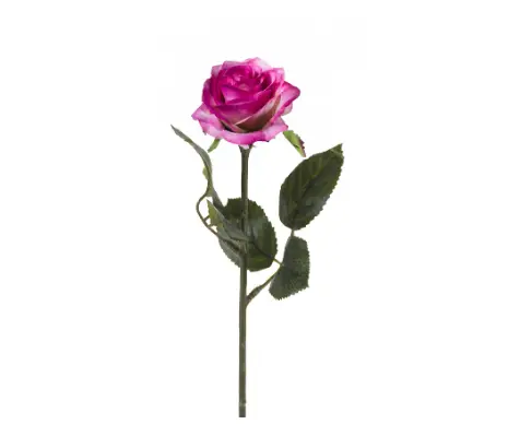 Rose simone spray pink 45cm