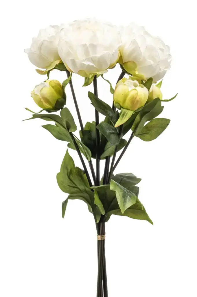 Peony bundle x3 cream 50cm
