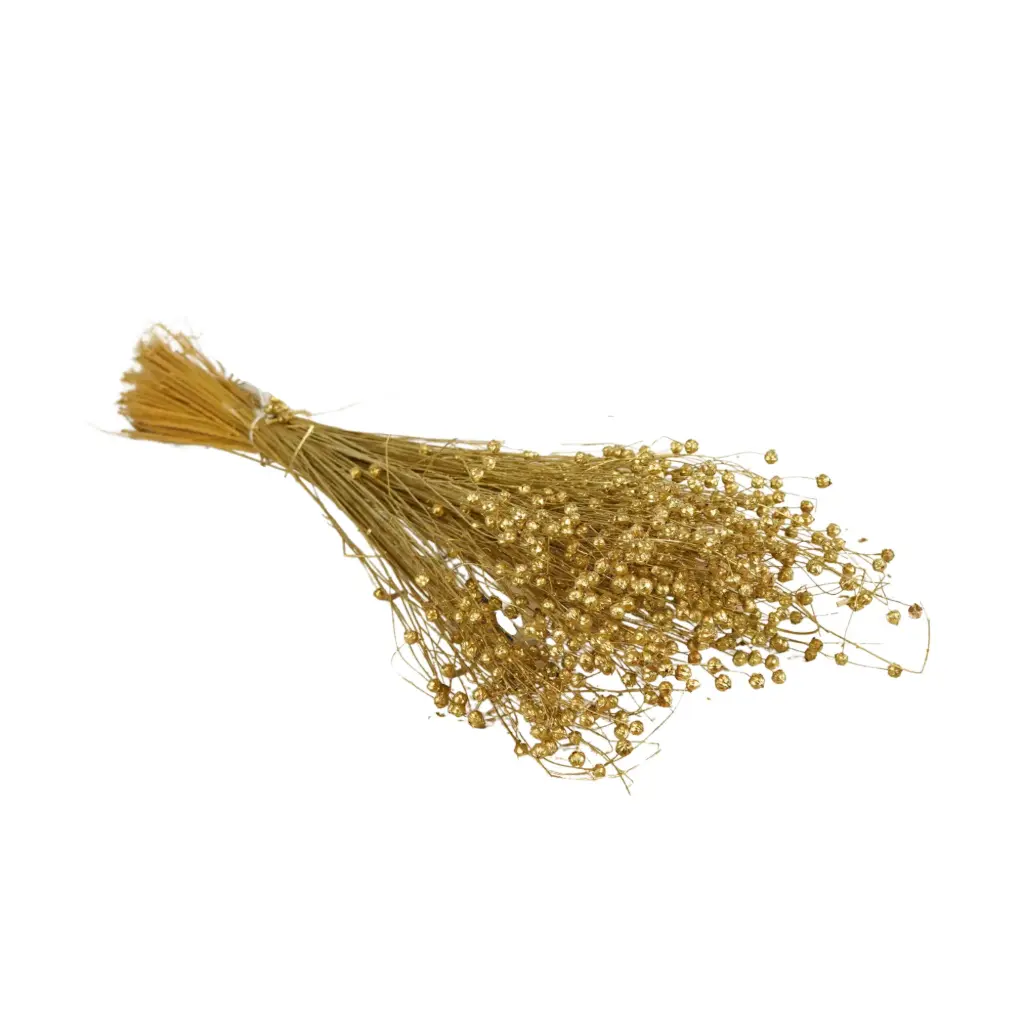 Dried Flowers - Linium Gold 