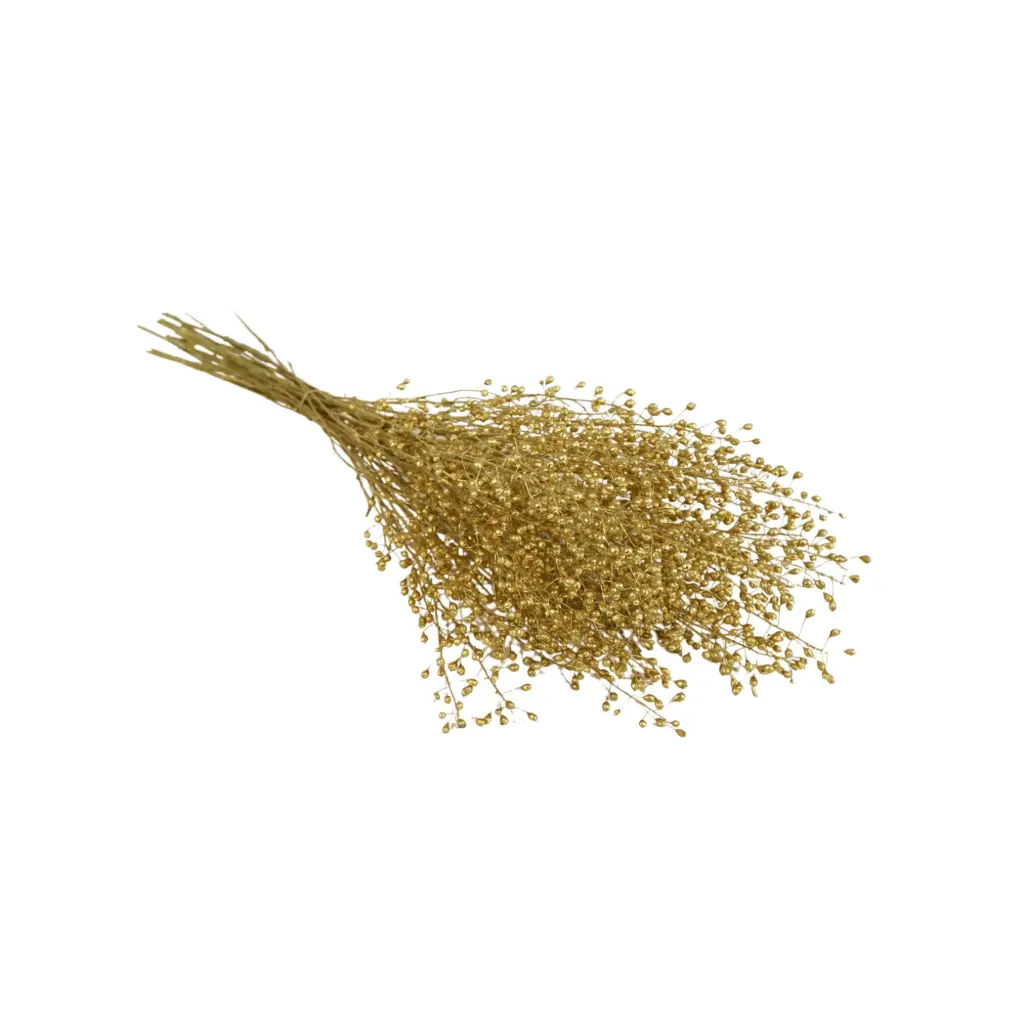 Dried Flowers - Lupidium Gold 