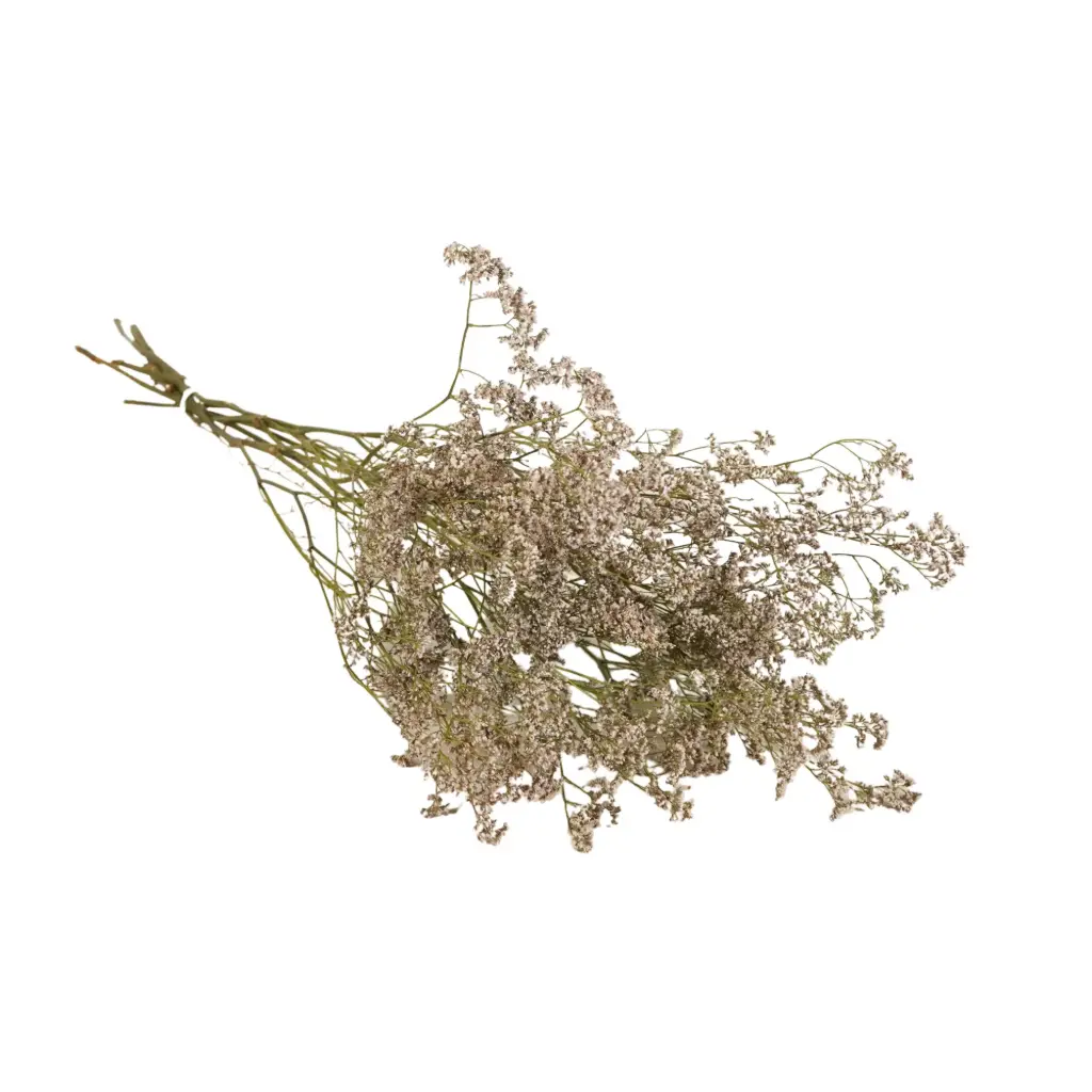 Dried Flowers - Limonium Natural Lilac