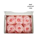 Rose Standard W-Box 6 light pink