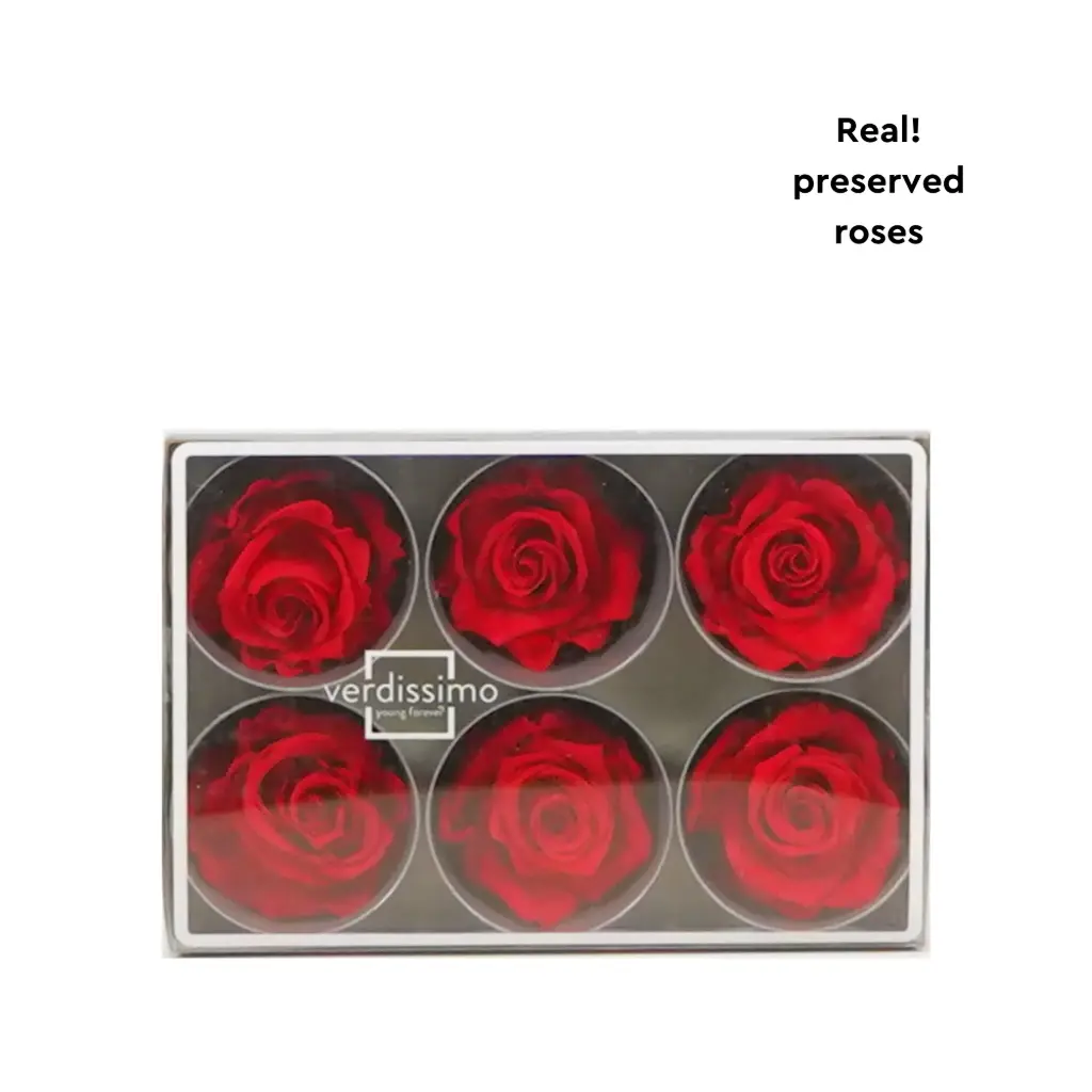Rose Standard W-Box 6 Red