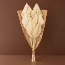Dried Flowers – Palmspear Bleached – 7 Stems 