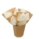 Dried Mono - Palmspear Bleached 7 stems