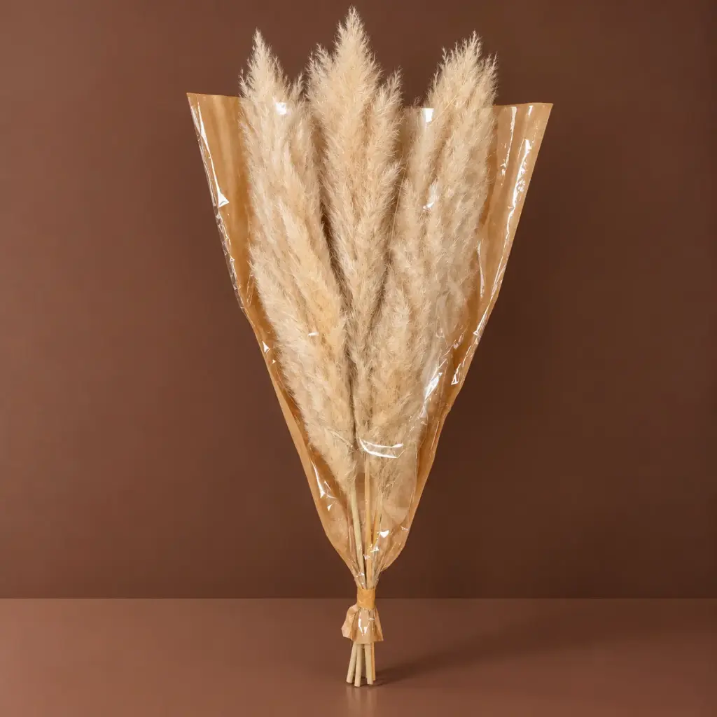 Dried Flowers – Pampas Natural – 3 Stems