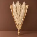 Dried Flowers – Pampas Natural – 3 Stems