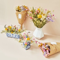 Dutch Design Collection