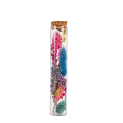 Dried Flower - Wish bottle - Pastel
