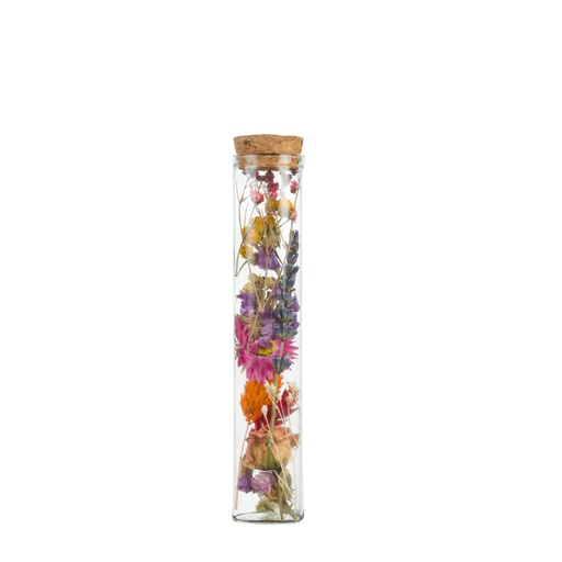 Dried Flower - Wish bottle - Multi
