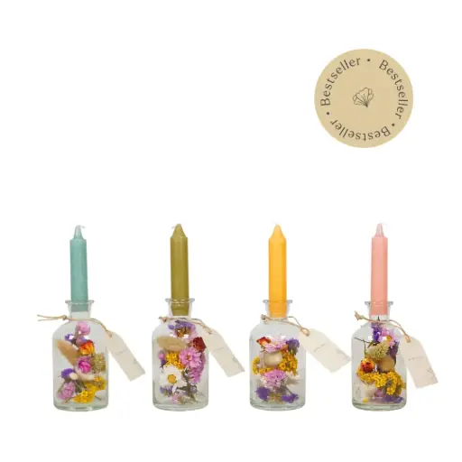 [BV70-M] Dried Flower - Brightness vase - Multi