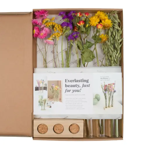 [FLBV50-M] Flowers in gift box with vases - Multi