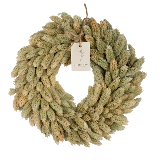 [WRH70-PH] Wreath Phalaris 30cm - Natural