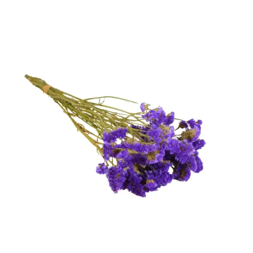 [DF-STATIC-BL] Dried Flowers - Statice Natural Blue