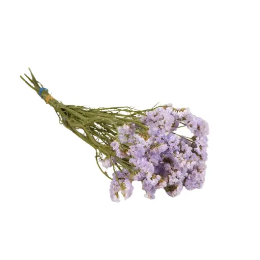 [DF-STATIC-LC] Dried Flowers - Statice Natural Lilac