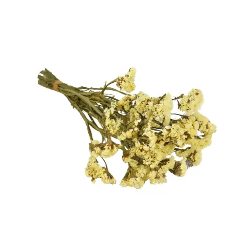 [DF-STATIC-YL] Dried Flowers - Statice Natural Yellow