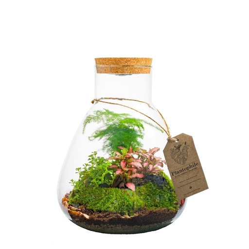 [PP0429] Terrarium Erlenmeyer large - LED