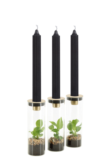 [PP0473] Terrarium candle holder