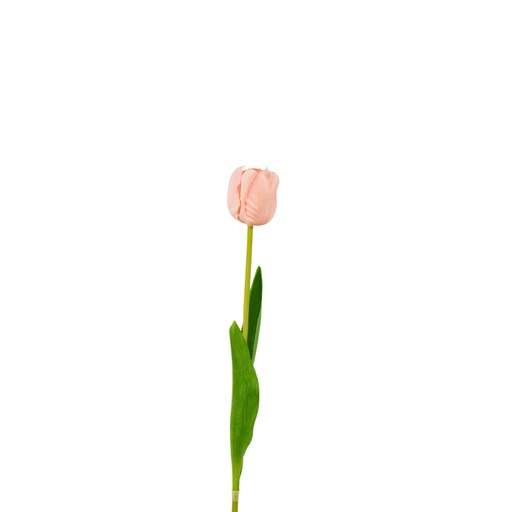 [Z20246] Tulip Artificial Soft Touch 50cm - Light Pink