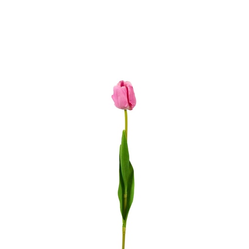 [Z202415] Tulip Artificial Soft Touch 50cm - Pink