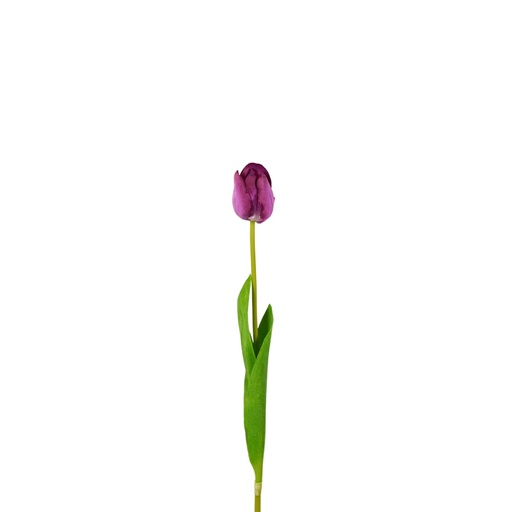 [Z202416] Tulip Artificial Soft Touch 50cm - Purple