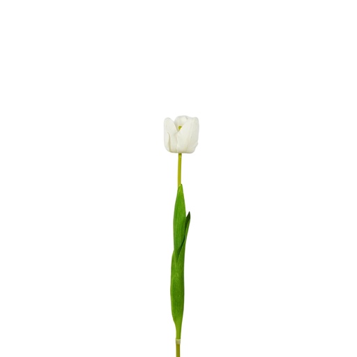 [Z202417] Tulip Artificial Soft Touch 50cm - White