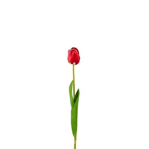 [Z202419] Tulip Artificial Soft Touch 50cm - Red