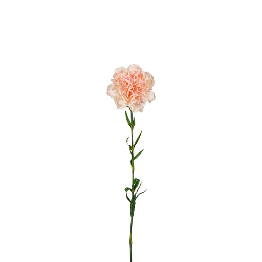 [427382] Dianthus Artificial 65cm - Light Pink (Peach)