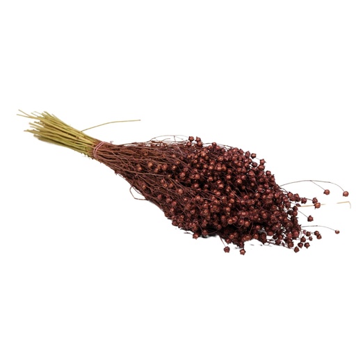 [DF-LIN-BG] Dried Flowers - Linium Burgundy