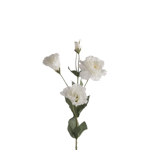 [G6144688] Lysianthus x4 Artificial L68cm White 