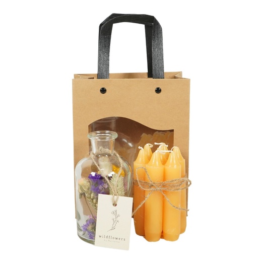 [BV-GIFT-M] Brightness Vase with Gift Bag Multi
