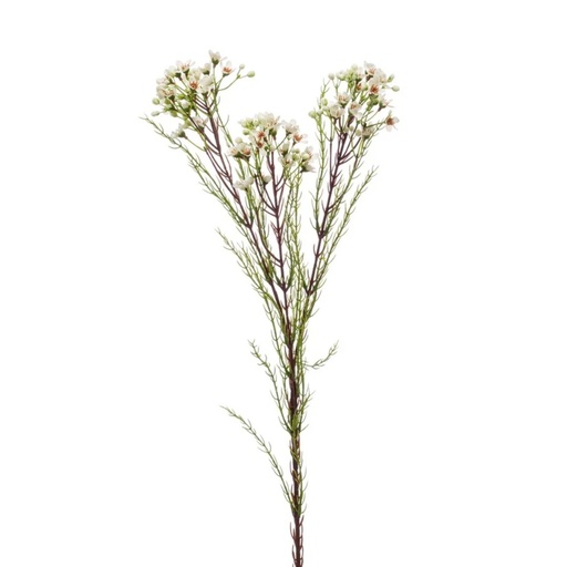 [422125] Wax artificial flower spray x3 78cm cream