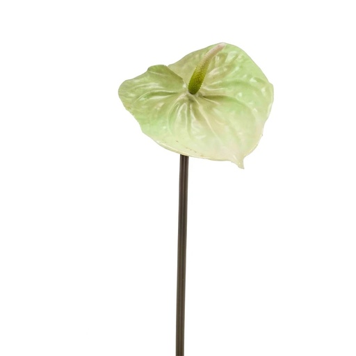 [428386] Anthurium Artificial spray lt green 65cm