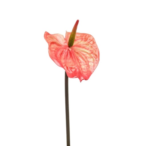 [428382] Anthurium artificial spray orange 65cm