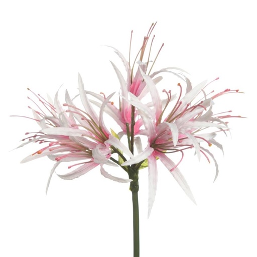[G6134825] Nerine Artificial L85cm L.Pink