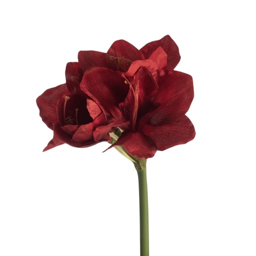 [G6143452] Amaryllis Artificial L66cm Red