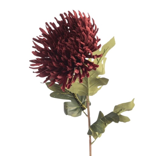 [G6147306] Chrysanthemum Spider Artificial L73cm Burgundy