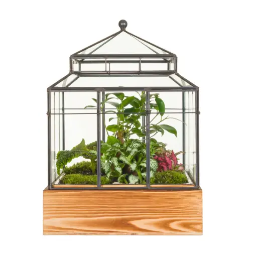 [PP1051] Terrarium Botanica