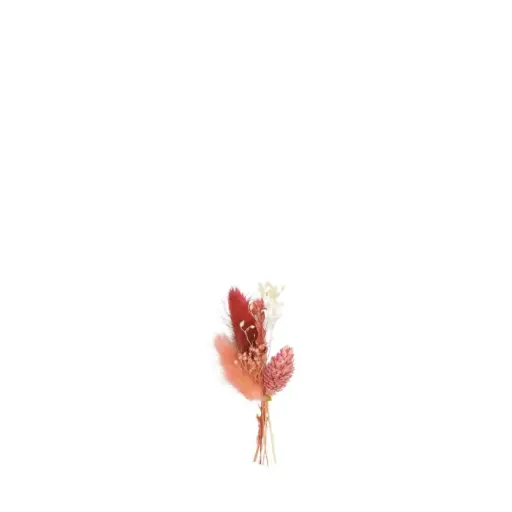 [FLR944011] Mini Bundle Dried Flowers 11 cm - set of 6 - Rosewood