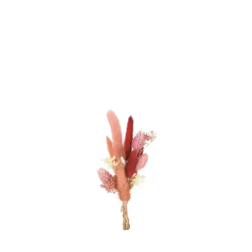 [FLR94422] Small Bundle Dried Flowers 22cm - Rosewood
