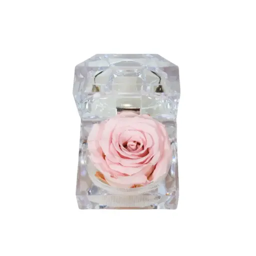 [JWL-PIN-04] Preserved Pink Rose with Fragrance in Jewelry Box