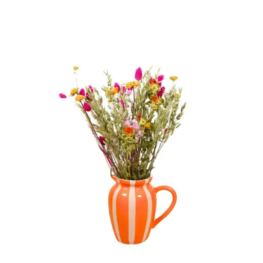 [DVS70-OR] Dried Flowers in Vase Stripe - Orange