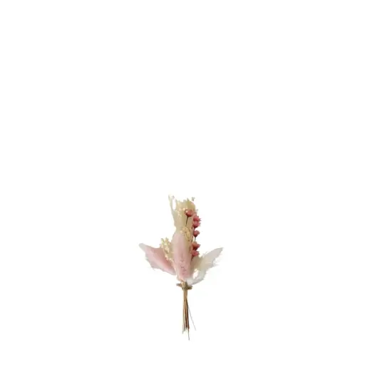 [FLR128412] Mini Bundle Dried Flowers 11 cm - set of 6 - Blush