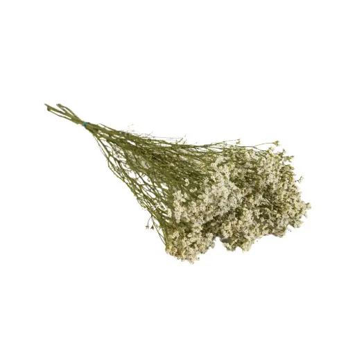 [DF-LIMON-WH] Dried Flowers - Limonium Natural White 