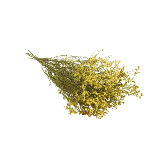 [DF-LIMON-PUR] Dried Flowers - Limonium Natural Purple 