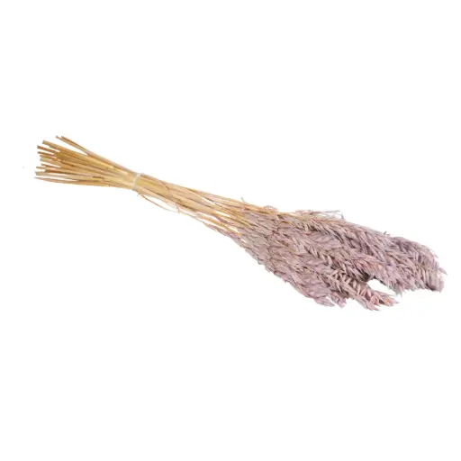[DF-HAV-LC] Dried Flowers - Haver (Avena) Lilac 