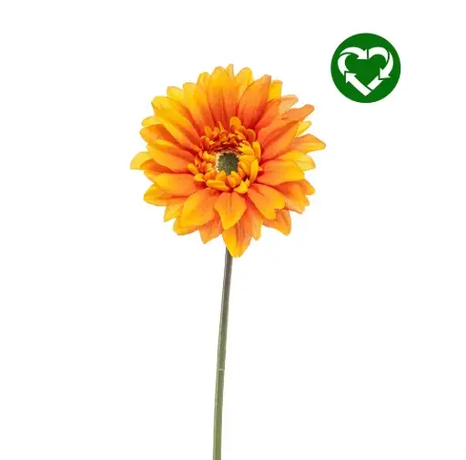 [434213] Gerbera Spray Orange – 63 cm