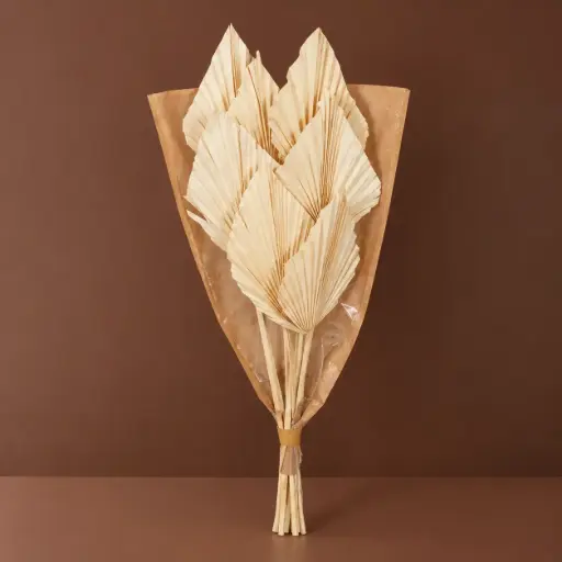 [RT10-MONO-PALMBL] Dried Flowers – Palmspear Bleached – 7 Stems 