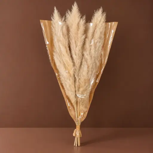 [RT10-MONO-PAMP] Dried Flowers – Pampas Natural – 3 Stems